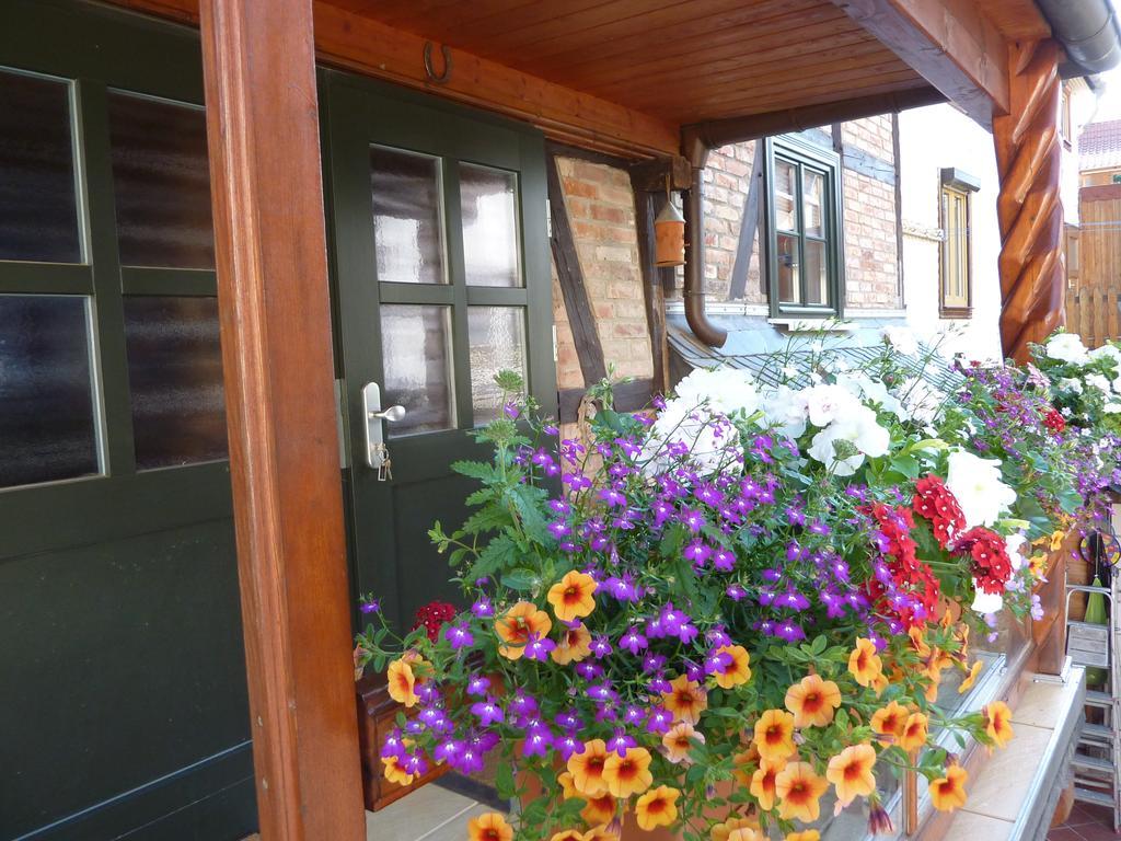 Unterm Schreckensturm Apartment Quedlinburg
